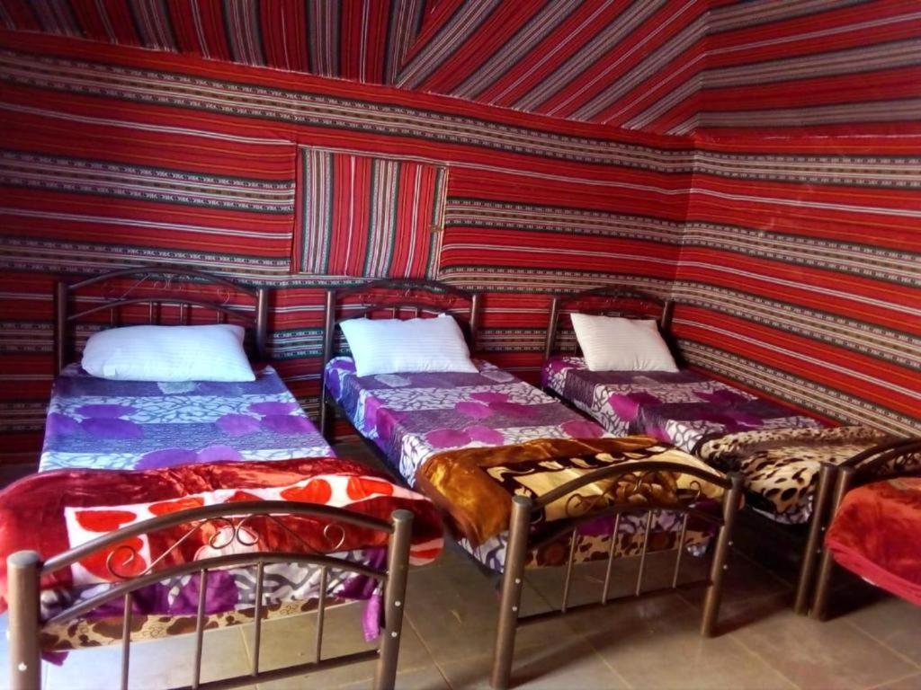 Wadi Rum Moon Camp Esterno foto