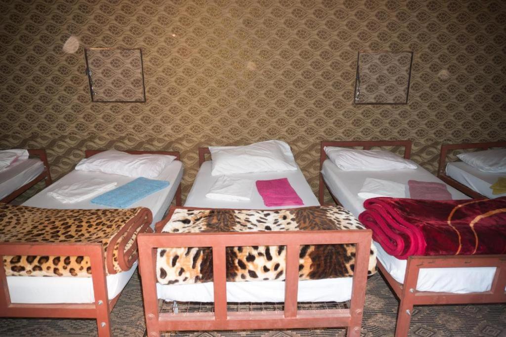 Wadi Rum Moon Camp Esterno foto