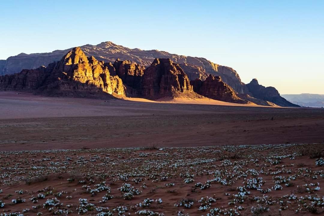 Wadi Rum Moon Camp Esterno foto